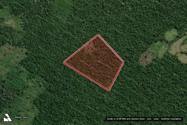 Imagem de satélite de Infração Ambiental em Boca do Acre - AM