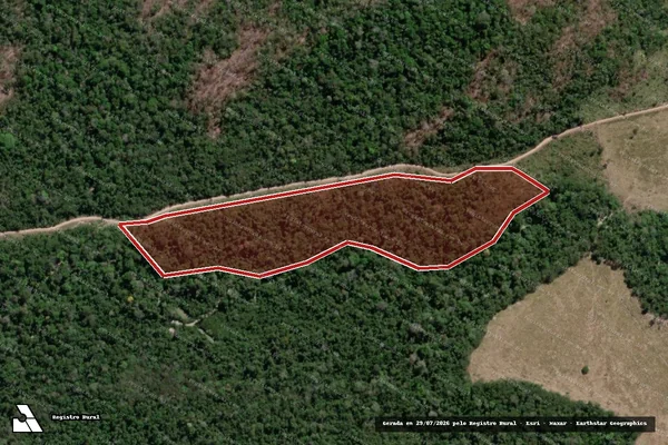 Imagem de satélite de Infração da Flora em Novo Progresso - PA