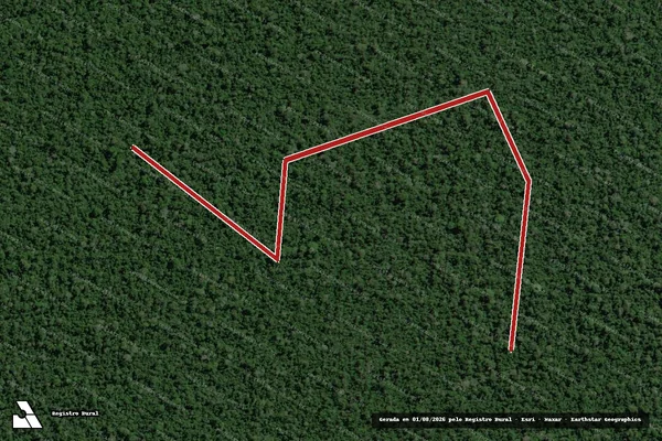 Imagem de satélite de Infração Ambiental em Medicilândia - PA