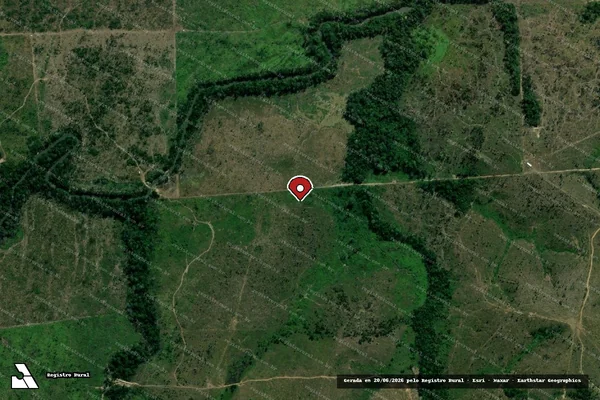 Imagem de satélite de Infração da Flora em Colniza - MT (marcador da localização)