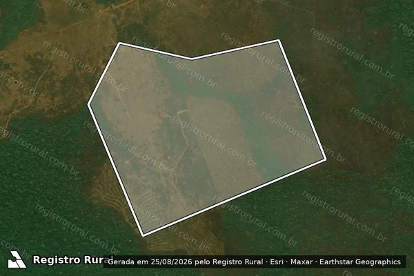 Imagem de satélite de Infração da Flora em Apuí - AM