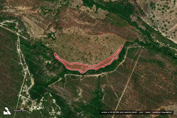 Imagem de satélite de Infração da Flora em Damianópolis - GO