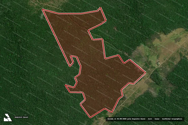 Imagem de satélite de Infração Ambiental em Caracaraí - RR