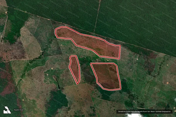 Imagem de satélite de Infração da Flora em São Félix do Xingu - PA