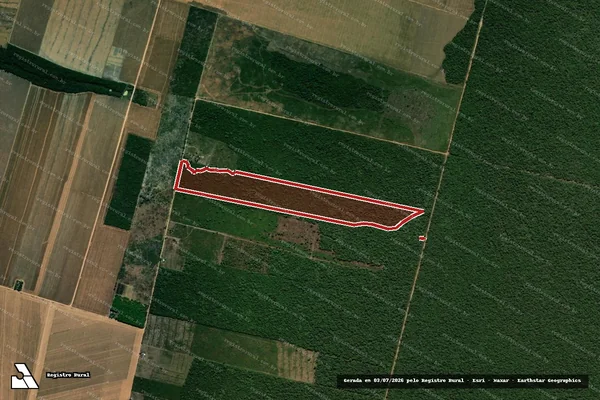 Imagem de satélite de Infração da Flora em Confresa - MT