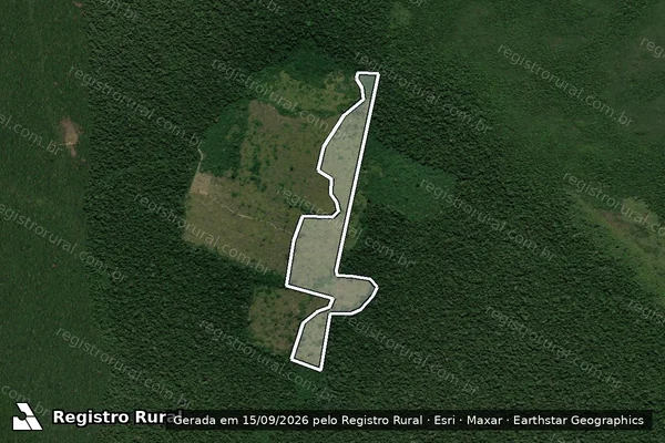 Imagem de satélite de Infração Ambiental em Novo Aripuanã - AM