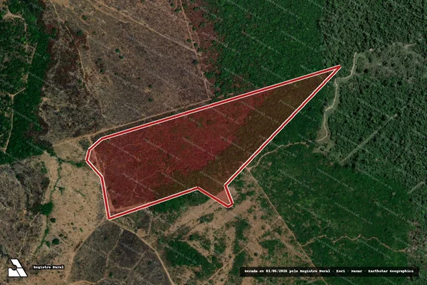 Imagem de satélite de Infração Ambiental em Altamira - PA