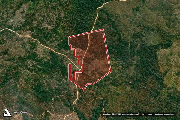 Imagem de satélite de Infração da Flora em Apiacás - MT