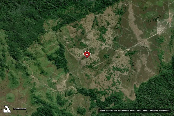 Imagem de satélite de Infração Ambiental em Apuí - AM (marcador da localização)