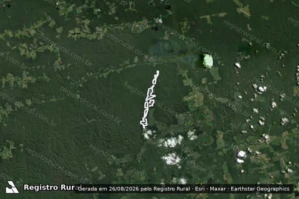 Imagem de satélite de Infração da Flora em Placas - PA