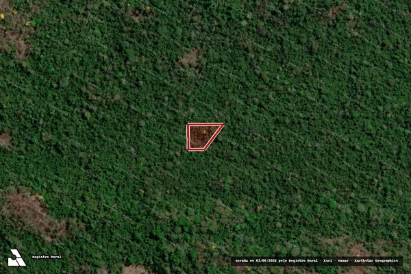 Imagem de satélite — Embargo IBAMA — Infração da Flora - Alta Floresta/MT