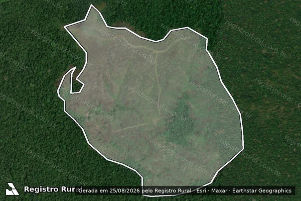 Imagem de satélite de Infração Ambiental em Apuí - AM