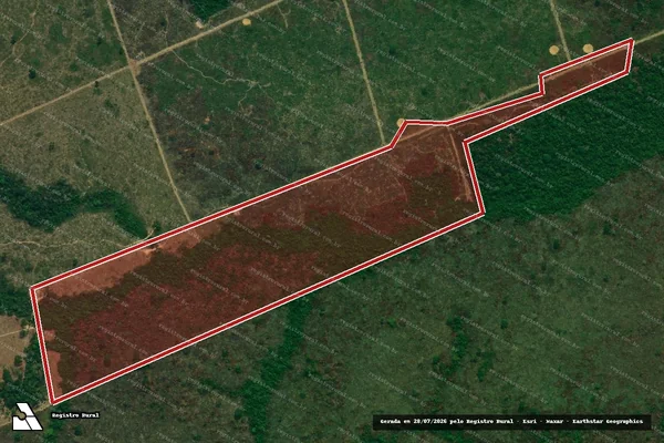 Imagem de satélite de Infração da Flora em Novo Progresso - PA