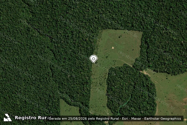 Imagem de satélite — Embargo IBAMA — Infração Ambiental — Porto Velho/RO