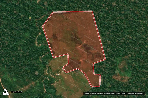 Imagem de satélite de Infração da Flora em Feijó - AC