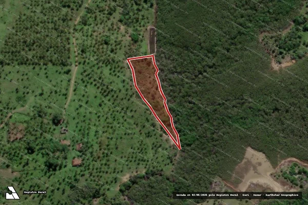 Imagem de satélite de Infração da Flora em Indiaroba - SE