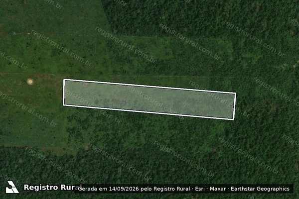 Imagem de satélite — Embargo IBAMA — Infração da Flora - Porto Velho/RO