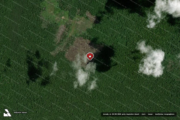 Imagem de satélite de Infração Ambiental em Humaitá - AM (marcador da localização)