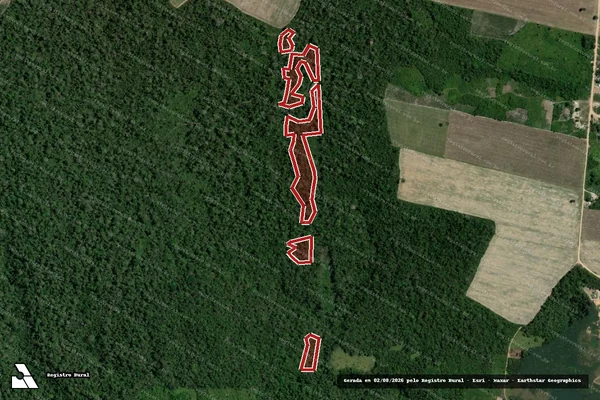 Imagem de satélite de Infração da Flora em Mojuí dos Campos - PA