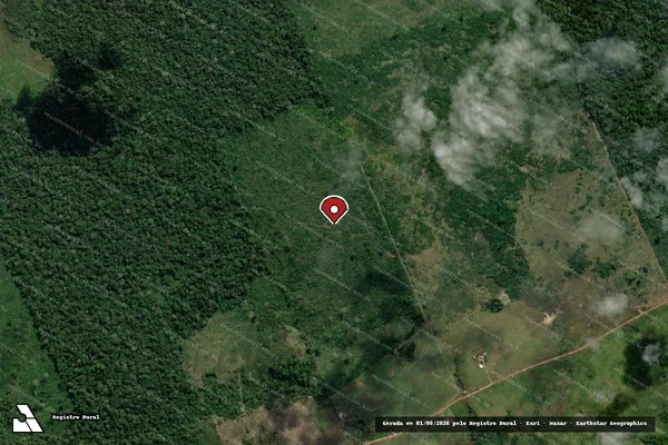 Imagem de satélite de Infração da Flora em Lábrea - AM (marcador da localização)
