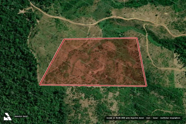 Imagem de satélite de Infração da Flora em Pacajá - PA