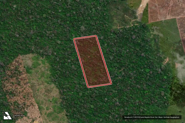 Imagem de satélite de Infração da Flora em Porto Acre - AC