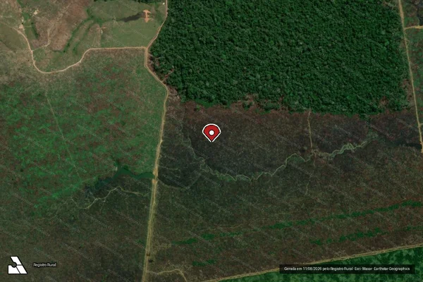 Imagem de satélite de Infração Ambiental em Manicoré - AM (marcador da localização)