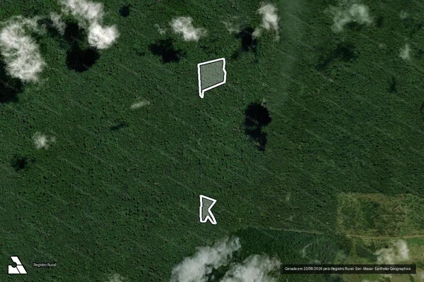 Imagem de satélite de Infração da Flora em São Félix do Xingu - PA