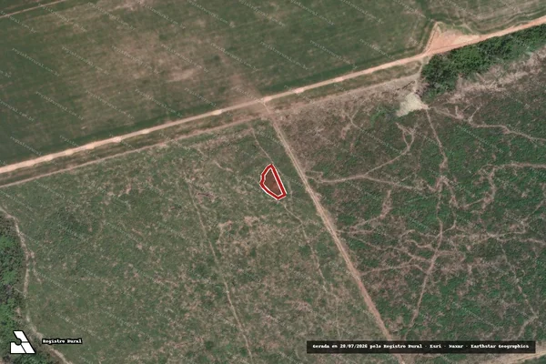 Imagem de satélite de Infração da Flora em Novo Progresso - PA