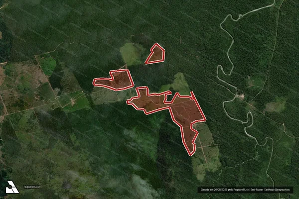 Imagem de satélite de Infração da Flora em Altamira - PA
