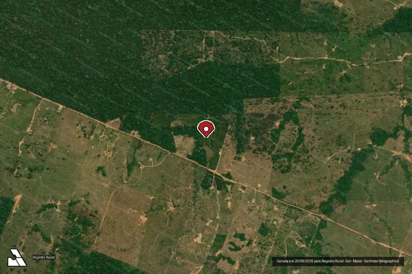 Imagem de satélite de Infração da Flora em Porto Velho - RO (marcador da localização)
