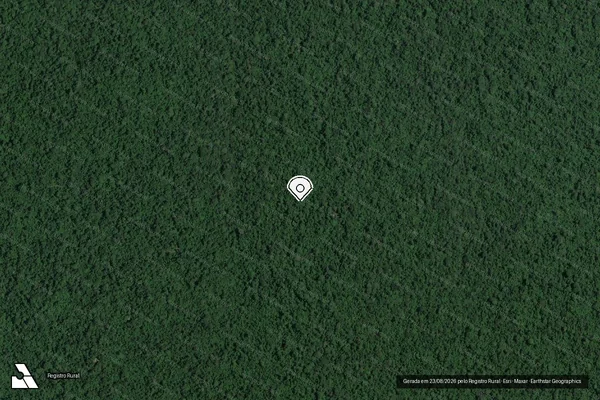 Imagem de satélite de Infração da Flora em Novo Progresso - PA (marcador da localização)