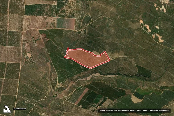 Imagem de satélite de Infração da Flora em São João do Paraíso - MG