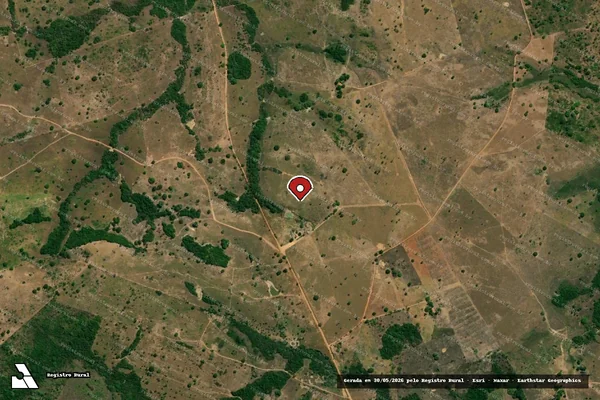 Imagem de satélite de Infração Ambiental em Arapoema - TO (marcador da localização)
