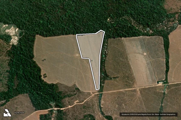 Imagem de satélite de Infração da Flora em Novo Progresso - PA