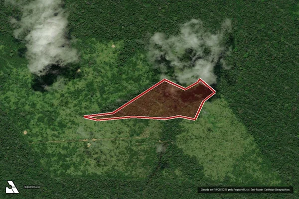 Imagem de satélite de Infração da Flora em Anapu - PA
