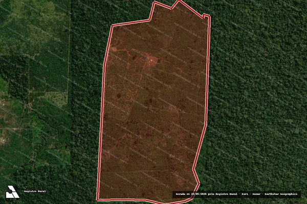 Imagem de satélite — Embargo IBAMA — Infração da Flora — Governador Jorge Teixeira/RO
