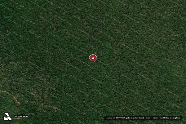 Imagem de satélite de Infração da Flora em Manicoré - AM (marcador da localização)