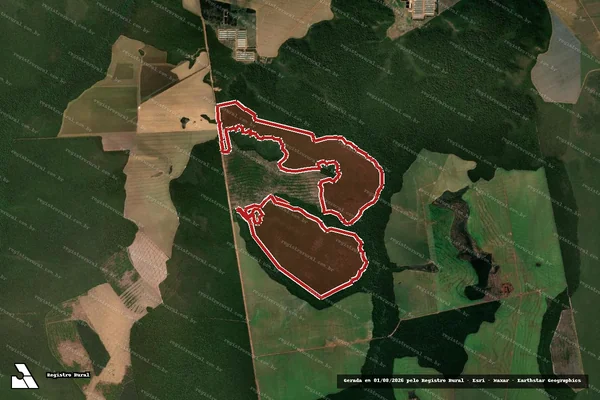 Imagem de satélite de Infração da Flora em Nova Mutum - MT