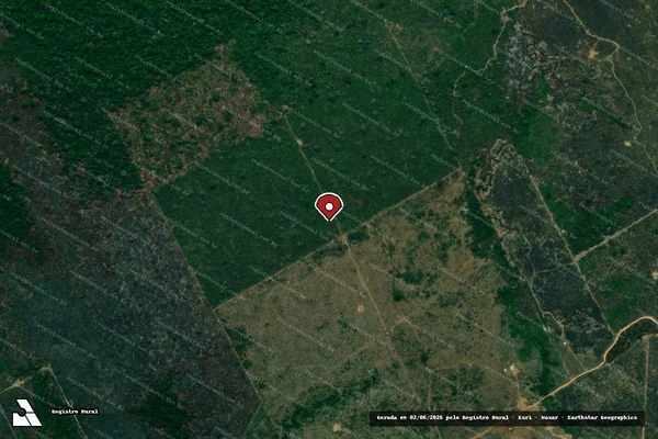 Imagem de satélite de Infração da Flora em Lábrea - AM (marcador da localização)