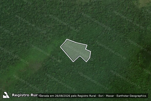 Imagem de satélite de Infração Ambiental em Caracaraí - RR