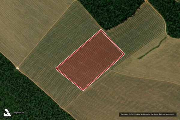 Imagem de satélite de Infração da Flora em Marcelândia - MT