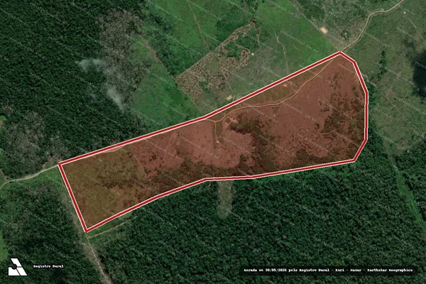 Imagem de satélite de Infração da Flora em Lábrea - AM