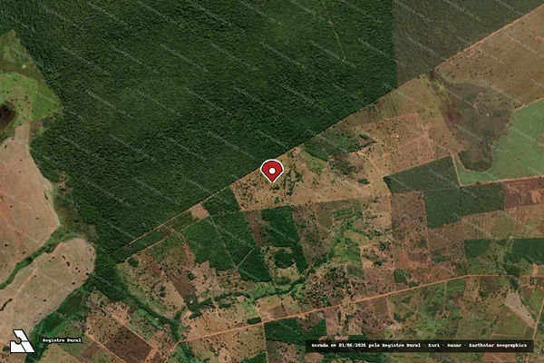 Imagem de satélite de Infração da Flora em Mundo Novo - GO (marcador da localização)