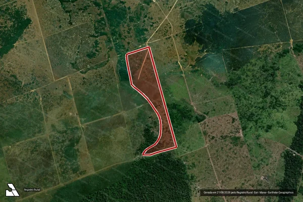 Imagem de satélite de Infração da Flora em Altamira - PA
