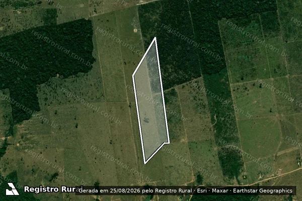 Imagem de satélite de Infração da Flora em Nova Mamoré - RO