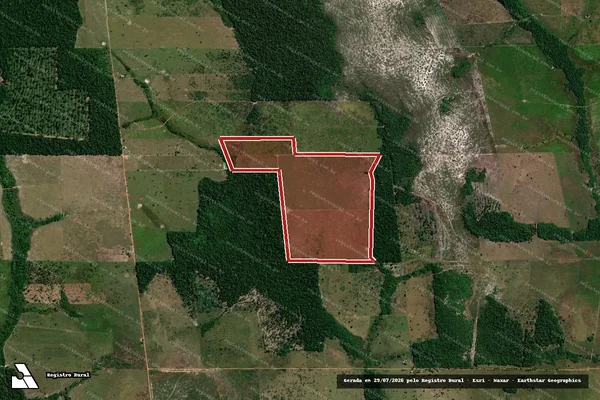 Imagem de satélite de Infração Ambiental em Seringueiras - RO