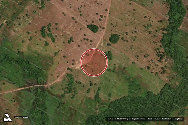 Imagem de satélite — Embargo IBAMA — Infração Ambiental - Oeiras do Pará/PA