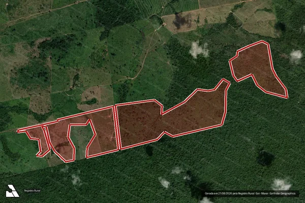 Imagem de satélite de Infração da Flora em Altamira - PA