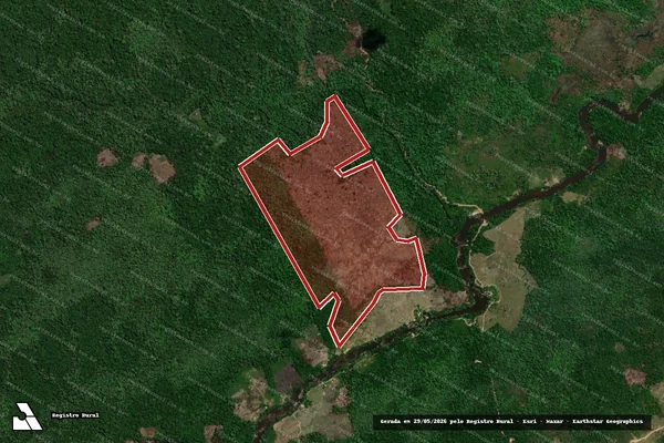 Imagem de satélite de Infração da Flora em Amajari - RR